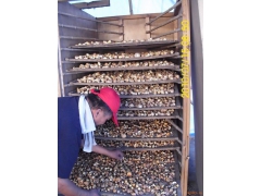 羊肚菌烘干机 金银花番薯笋干食用菌烘干机 地瓜烘干设备烘干箱图3