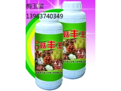 优质 菇丰王　　　图1