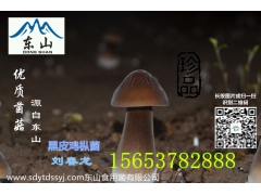 鸡枞菌人工种植黑皮鸡枞菌吃法有机绿色产品图3