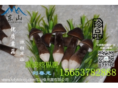 黑皮鸡枞菌价格图3
