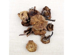 榛蘑 批发礼盒装榛蘑 压缩系列 禾源森林图1