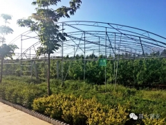 出售各类食用菌产品，菇袋，等。图1