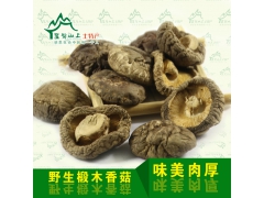 修水椴木香菇代理_九江抢手的野生小香菇批发图1