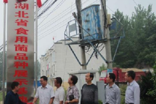 湖北省食用菌品種展示基地在隨縣揭牌 ()