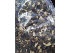 特级羊肚菌干品 食用菌之王 高端餐饮酒店必备图1