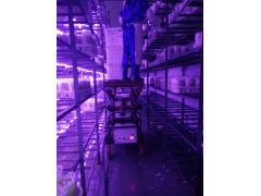 菇房专用升降设备图1