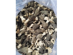 特级/一级优质羊肚菌供应（散装或分装）图1