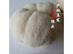 新鲜猴头菇 东北猴头菇干货图2
