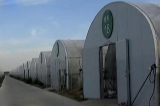 鄂爾多斯市漠菇企業(yè)研發(fā)沙生植物培育新型食用菇 ()