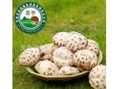 干香菇 500g包装干花菇现货批发零售图1