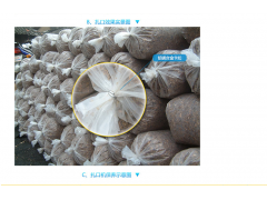 2016新一代食用菌扎口机厂家 香菇扎口机价格图2