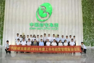 綠寶集團(tuán)召開2016年度上半年經(jīng)營(yíng)管理座談會(huì)　穩(wěn)扎穩(wěn)打深化改革 ()