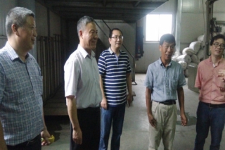 浙江省科協(xié)領(lǐng)導(dǎo)調(diào)研龍泉市食用菌全產(chǎn)業(yè)鏈提升項(xiàng)目 ()