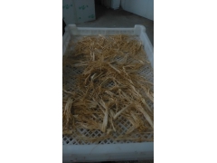 供应金针菇烘干机设备 厂家价格报价 5匹10匹20匹图2