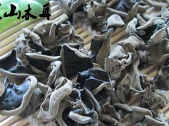 新鲜的黑山木耳_可信赖的黑山木耳批发市场推荐图1