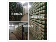 食用菌网格  蘑菇网架 安平县焕滕丝网图1