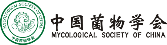 会议logo组合