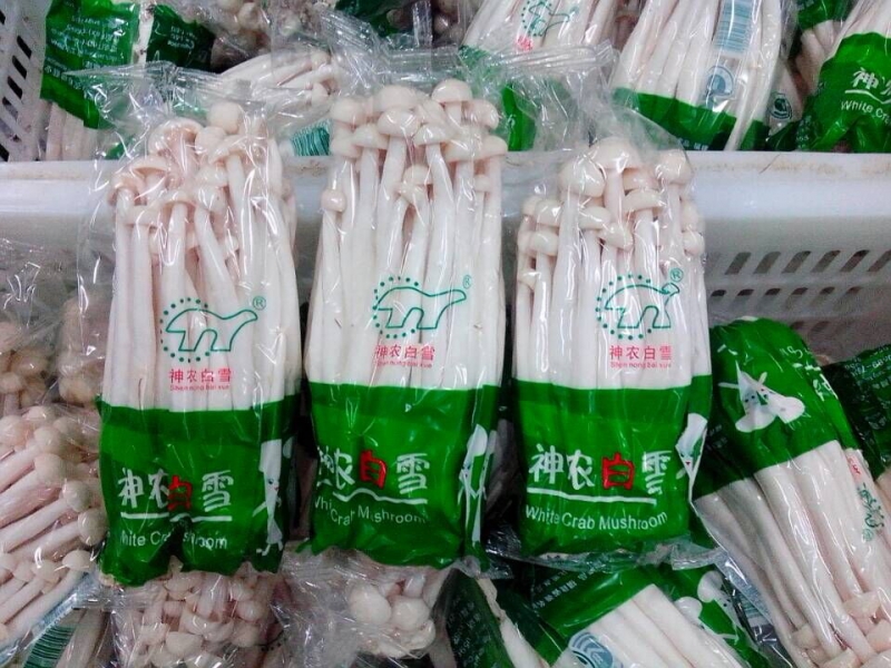 金针菇包装机,海鲜菇包装机,食用菌包装机,白玉菇包装