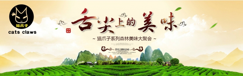 猫爪子（北京）科技有限公司