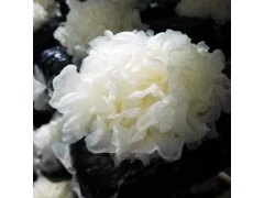 绿峰鲜银耳走进寻常百姓家图1