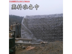 新一代食用菌蒸汽热水灭菌锅炉 食用菌灭菌蒸汽灶图3