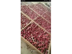 逸村食用菌烘干机厂家直销 羊肚菌烘干机批发 香菇烘干价格机图3