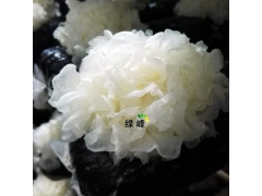 鲜银耳与干银耳的区别图2