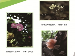 简介：