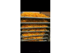 食用菌烘干机 羊肚菌烘干机 食品烘干机图3