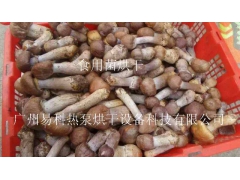 高品质食用菌烘干机图2