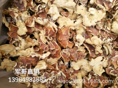 榆耳 榆耳干品 大片榆耳 13964982885图1