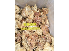 榆耳 榆耳干品 大片榆耳 13964982885图2