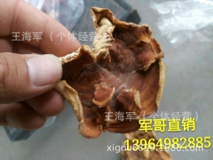 榆耳价格 榆耳批发 榆耳厂家图1