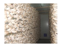 厂家供应养殖蘑菇专用网架网片图2