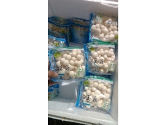 广东BOPP防雾印刷膜 金针菇包装印刷膜  双防雾双热封膜图1