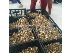 香菇烘干机 猴头茹烘干机 热泵烘干机 空气能烘干机厂家直销图2