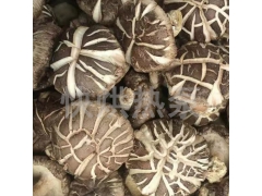 香菇烘干机 猴头茹烘干机 热泵烘干机 空气能烘干机厂家直销图3