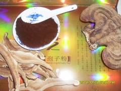 供应优质破壁孢子粉图1