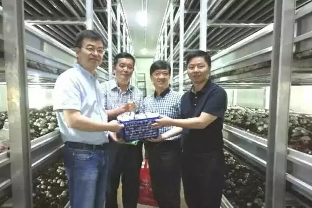 漳州建立蘑菇工厂化漳州模式 推广工厂化栽培