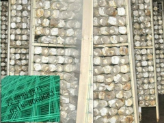 厂家供应蘑菇专用网片浸塑网格 工厂化出菇网架图1