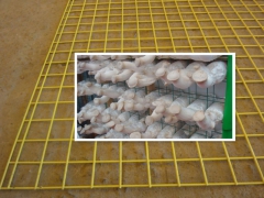 养殖蘑菇专用网架网片安平汇亚厂家定做图2