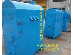 铁制菌棒常压灭菌锅炉  食用菌机械 产蒸汽锅炉图3