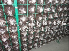 畅销的蘑菇网架上哪买    ：蘑菇网架图1