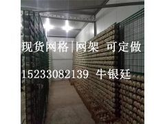 焕滕出菇房网格——价格公道的蘑菇网格  焕滕专供图1