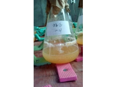 食用菌液体菌种生产技术图1