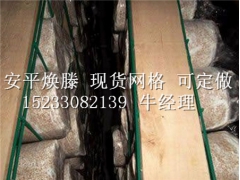 哪里买精良的蘑菇网片 |杏鲍菇网格图1