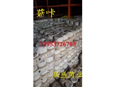 黑皮鸡枞菌菌种 黑皮鸡枞菌种植技术 鸡枞菌人工培植方法图1