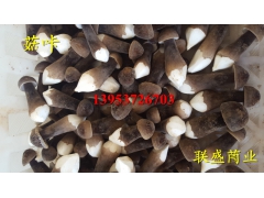 黑皮鸡纵菌 菌种菌棒菌包 食用菌栽培 基地直供图3