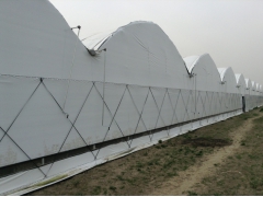 江苏供应食用菌专用黑白膜图3