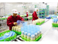 石家庄金针菇包菇片食用菌蘑菇栽培瓶菌种瓶PE环保材质可定制图2